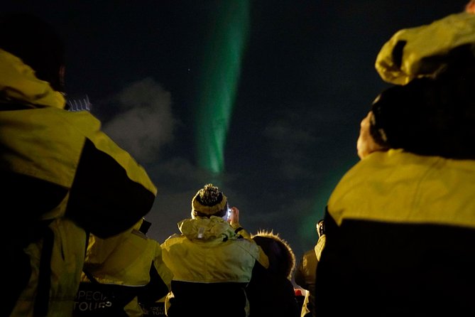 Kopar Fine Dining Dinner and Northern Lights Cruise from Reykjavik - Kopar’s Old Harbour dinner: the part that people talk about