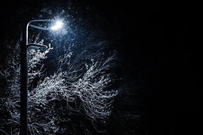 Magical Christmas Private Tour in Beautiful Reykjavik - Value and price reality for a 2-hour private Christmas walk