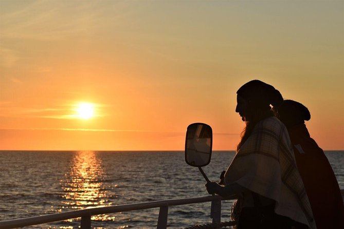 Magical Whales in the Midnight Sun | from Reykjavik - Key things to know before you go