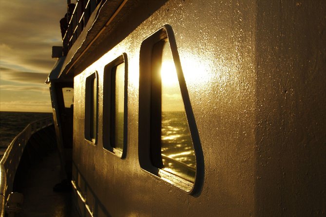 Magical Whales in the Midnight Sun | from Reykjavik - Wildlife sightings and how the crew handles luck
