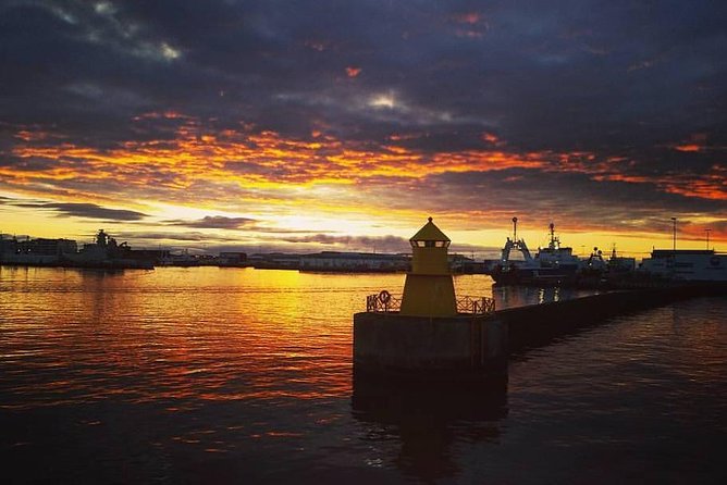 Midnight Sun Whale Watching from Reykjavik - Comfort package: overalls, indoors, WiFi, and seasickness help