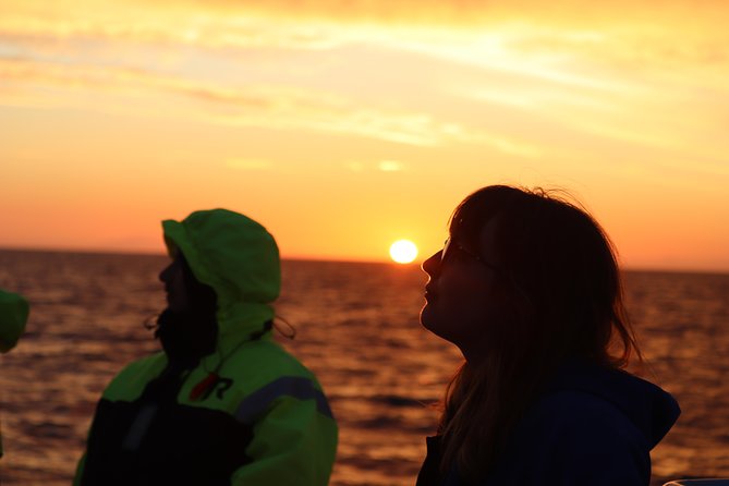 Midnight Sun Whale Watching from Reykjavik - Price and value: what $109.34 buys you in real terms