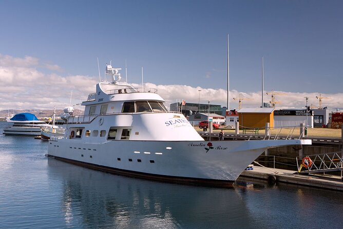 New Year's Eve Reykjavík Cruise - Weather Matters: How Iceland Keeps You Honest