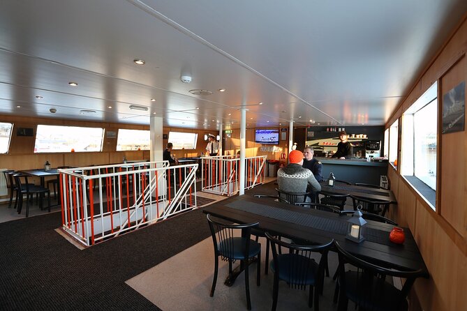 New Years Fireworks by Boat from Reykjavik - When Northern Lights join the party