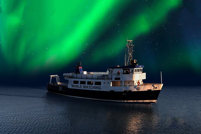 Northern Lights Boat Cruise from Reykjavik - Faxaflói Bay: why the wildlife search is not filler