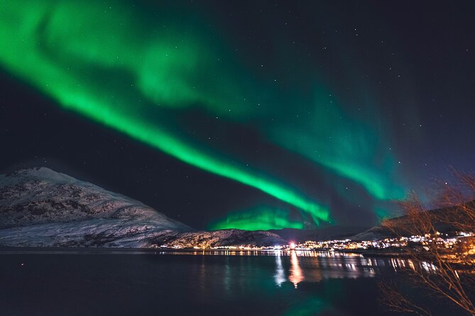 Northern Lights Boat Cruise from Reykjavik - Onboard comfort: restroom, Wi-Fi, and an actual café plan
