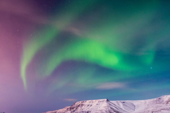 Northern Lights Boat Cruise from Reykjavik - If the lights do not show: the free return is the real safety net