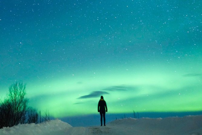 Northern Lights Bus Tour from Reykjavik with Hot Chocolate - The Hot Chocolate Factor: Comfort That Actually Helps You Last Outside