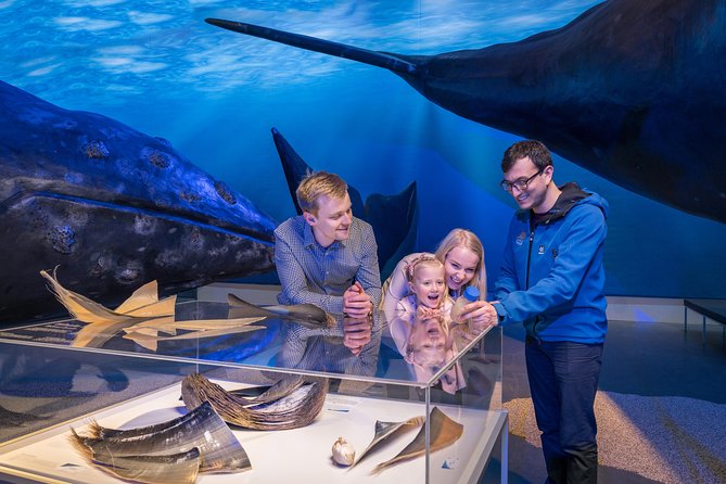 Northern Lights by Boat with a Backup Plan from Reykjavik - Crowds, group size, and the feel on a popular night
