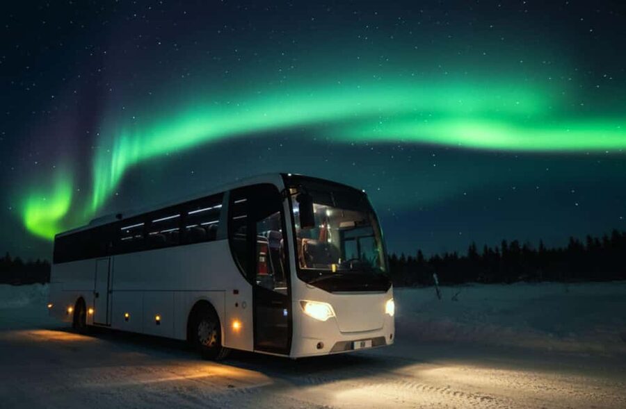 Northern Lights: Cozy Night Adventure with Hot Chocolate - Guide-led stories and tips: making the wait feel like part of the trip