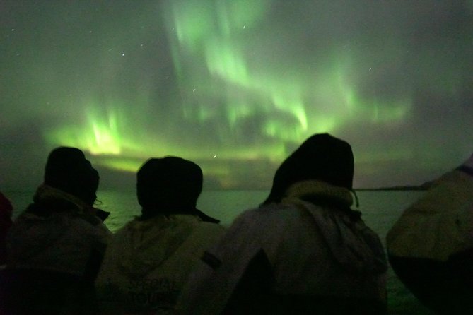 Northern Lights Cruise from Reykjavik Including Photos - Photos, free downloads, and onboard Wi-Fi that actually help