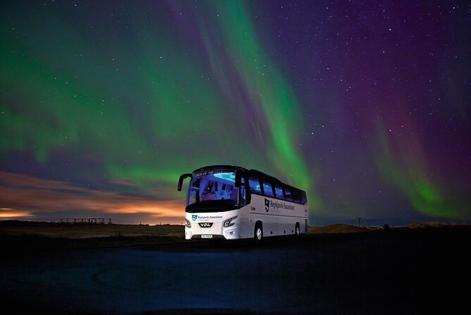Northern Lights Guided Bus Tour from Reykjavik - Value and Price: Is $73 Worth It?