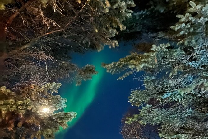 Northern Lights - Private - The heart of the itinerary, Reykjavik to darker skies
