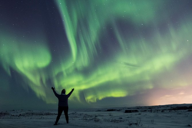Northern Lights Small Group Tour from Reykjavik with Free Photos - When the aurora refuses to cooperate, you are not out of luck