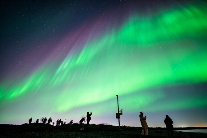 Northern Lights Small Group Tour from Reykjavik - How Guides Choose Where to Hunt the Aurora