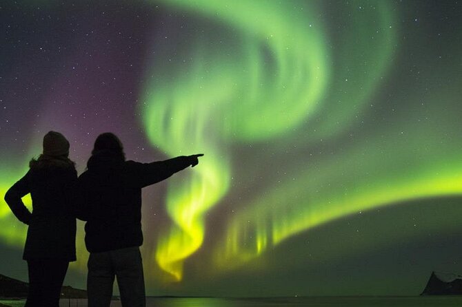 Northern Lights Tour: Cozy Night Adventure with Hot Chocolate - Key things that make this Northern Lights tour work