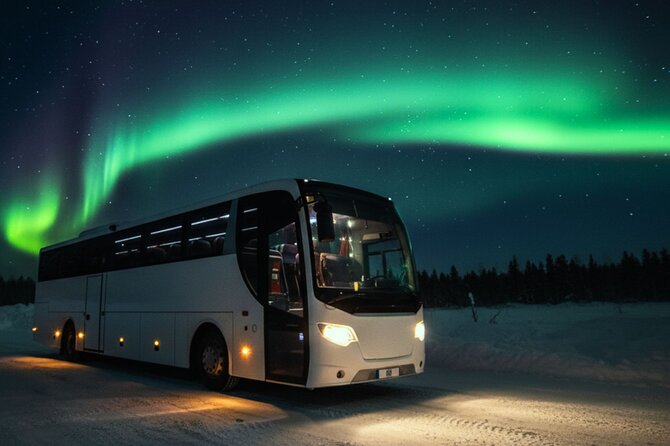 Northern Lights Tour: Cozy Night Adventure with Hot Chocolate - The 4-hour flow: what happens once you leave the city