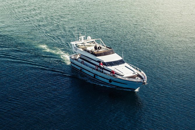 Northern Lights Yacht Cruise - Meeting Point and Timing: How to Start Smoothly