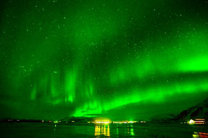 Northern Lights Yacht Cruise in Reykjavik - Wildlife on the Route: Whales, Dolphins, Porpoises, and Orca Odds