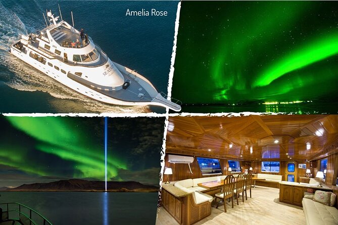 Northern Lights Yacht Cruise in Reykjavik - Who This Northern Lights Yacht Cruise Fits Best