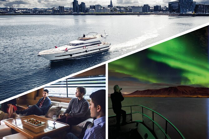 Northern Lights Yacht Cruise - Faxaflói Bay: Whales, Seabirds, and That Arctic-Water Feeling