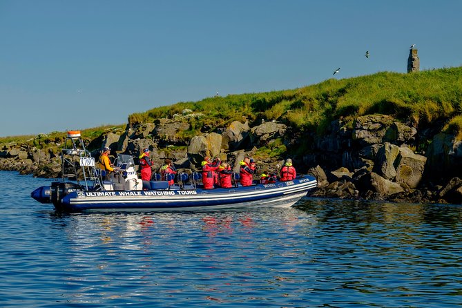 Premium Small-Group Puffin & Bird Watching tour from Reykjavík - Photography tips for tiny puffins at sea