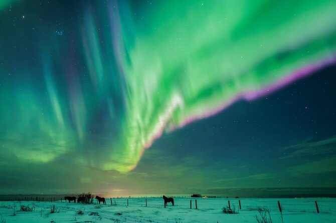 Private Aurora Hunt with Photos in Super Defender - Price and value: what $1,400 means for a private aurora chase