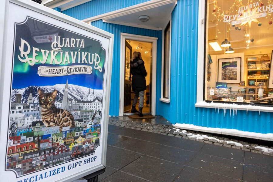 Private Combo Reykjavik Folklore & CatWalk - The extra magic: Icelandic Zombie, folklore creatures, and cat gift stops