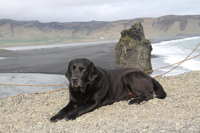 Private Day Trip to the Icelandic South Coast from Reykjavik - Hotel Pickup, Private Vehicle, and the Real Value of “Private”
