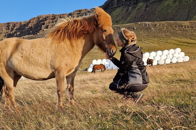 Private Farm Visit & Silver Circle Day Tour in West Iceland - Key highlights