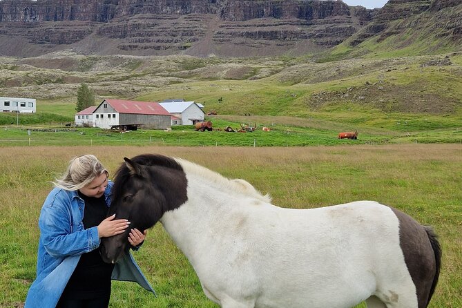 Private Farm Visit & Silver Circle Day Tour in West Iceland - Stop 3: Grábrók Crater Walk With Wooden Steps and Wide Views