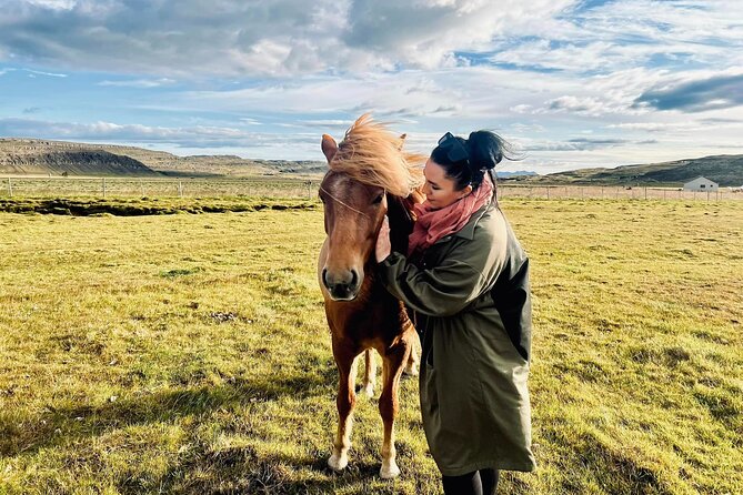 Private Farm Visit & Silver Circle Day Tour in West Iceland - Who This Private Tour Is Best For