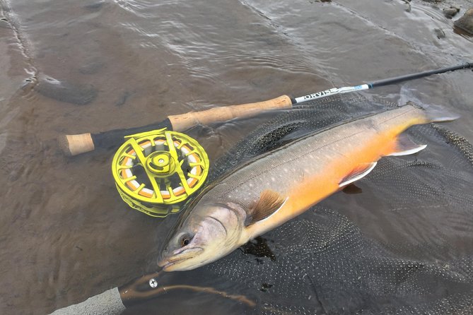 Private Fishing Tour from Reykjavik - Arctic Char and Brown Trout - Techniques allowed on Holaa: upstream nymphs, dry flies, streamers, and spin