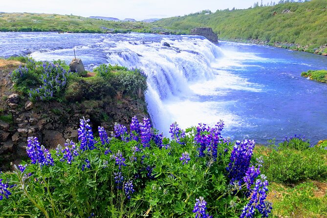 Private Golden Circle and Blue Lagoon Tour - Þingvellir National Park: the rift between plates and photo-ready viewpoints