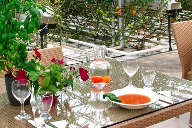 Private Golden Circle, Sky Lagoon and Friðheimar Greenhouse Lunch - What kind of guide you will get, and how that affects your day