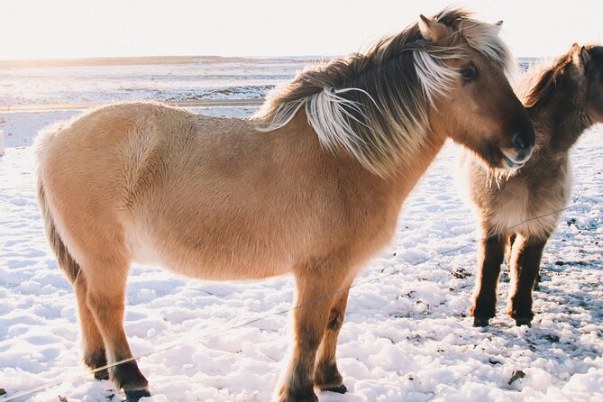 Private Golden Circle & Sky Lagoon Transfer and lunch (Up to 8 P) - Gullfoss Waterfall: big payoff with free admission
