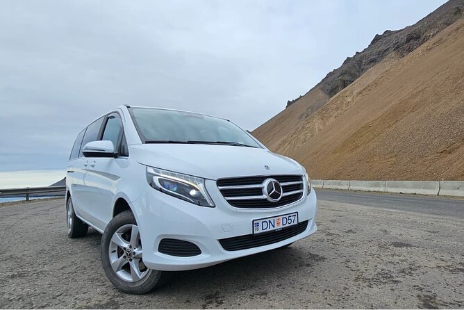 Private Golden Circle Tour With Lava Tunnel(Optional) - Price and Value for a Private Golden Circle Day