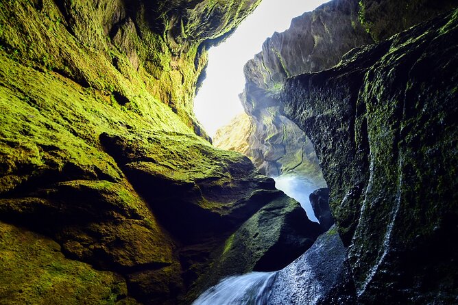 Private Half Day Iceland Tour with Guide and Vehicle - Timing matters: how to plan around demand and weather
