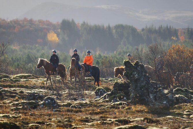 Private Icelandic Horseback Ride: Matched to Skill Level - Key highlights you can plan around