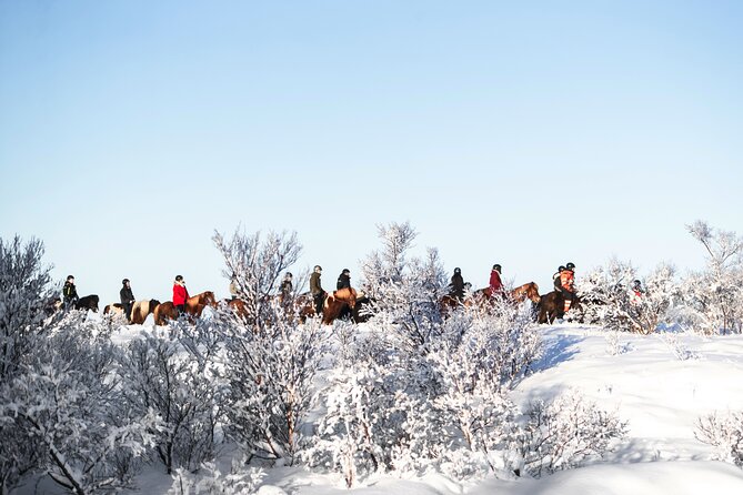 Private Icelandic Horseback Ride: Matched to Skill Level - Sörlaskeið 26, Reykjavík area, and what the schedule really means