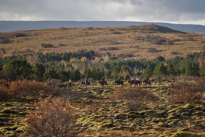 Private Icelandic Horseback Ride: Matched to Skill Level - What your guide actually helps with on the ground
