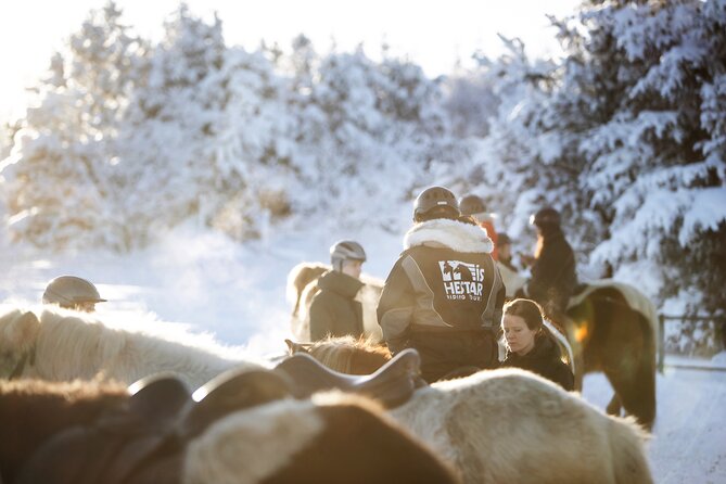 Private Icelandic Horseback Ride: Matched to Skill Level - Horses that fit, plus the comfort details that make it better