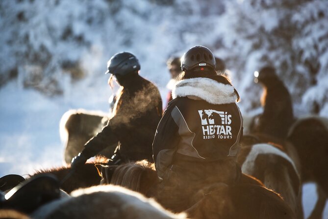 Private Icelandic Horseback Ride: Matched to Skill Level - Price and value: $210.51 per person for a private hour