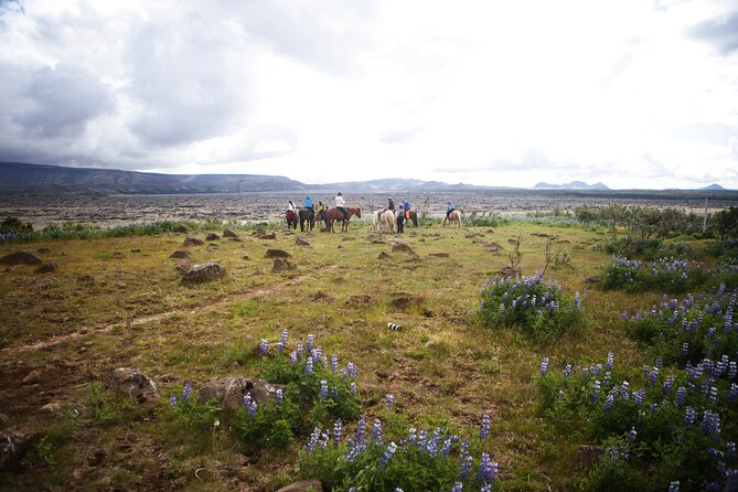 Private Icelandic Horseback Ride: Matched to Skill Level - Who should book this, and who should think twice