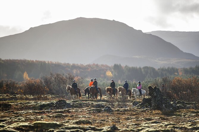 Private Icelandic Horseback Ride: Matched to Skill Level - The ride itself, lava fields, green hillsides, and riding paths