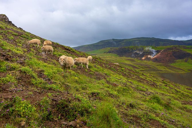 Private Jeep Tour - Game of Thrones experience - Who this tour fits best, and who should reconsider