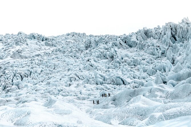 Private Jökulsárlón Glacier Lagoon 2 Day Tour & Glacier Hike - Day 2 Jökulsárlón Glacier Lagoon and Falljökull Glacier Hike