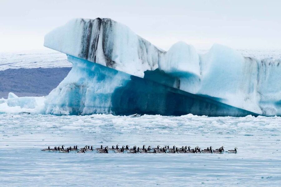 Private Jökulsárlón Glacier Lagoon Tour - Private Modified Jeep Comfort for 16 Hours of South Coast Sights