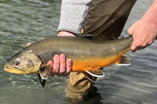 Private Lake and River Fishing Tour from Reykjavik - Reykjavik pickup, Thingvellir drive, and the Golden Circle route setup