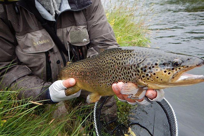 Private Lake and River Fishing Tour from Reykjavik - Gear, permits, and why included equipment changes the day